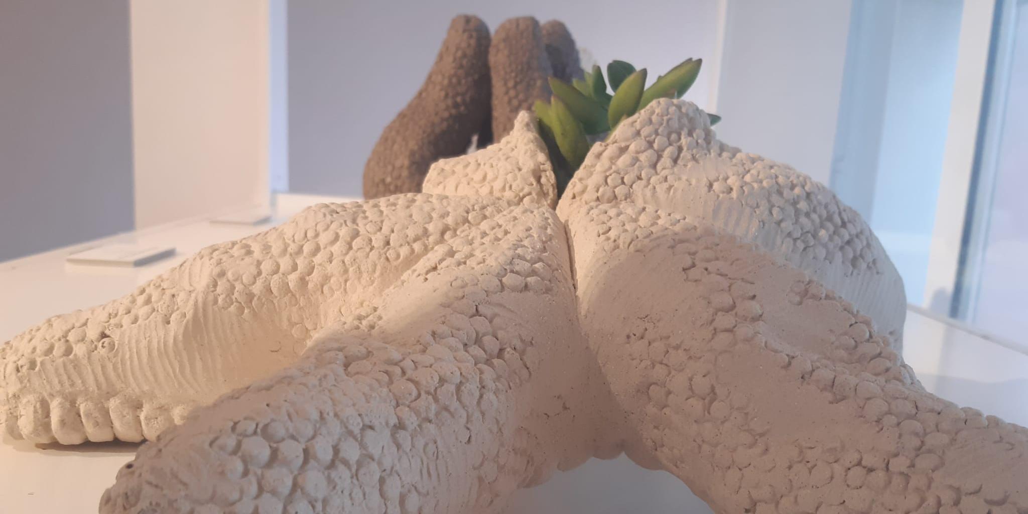 Les exposicions de l’artista Stefano Dalle Vedove i del Sitges Reciclart 2020 obren portes aquest divendres