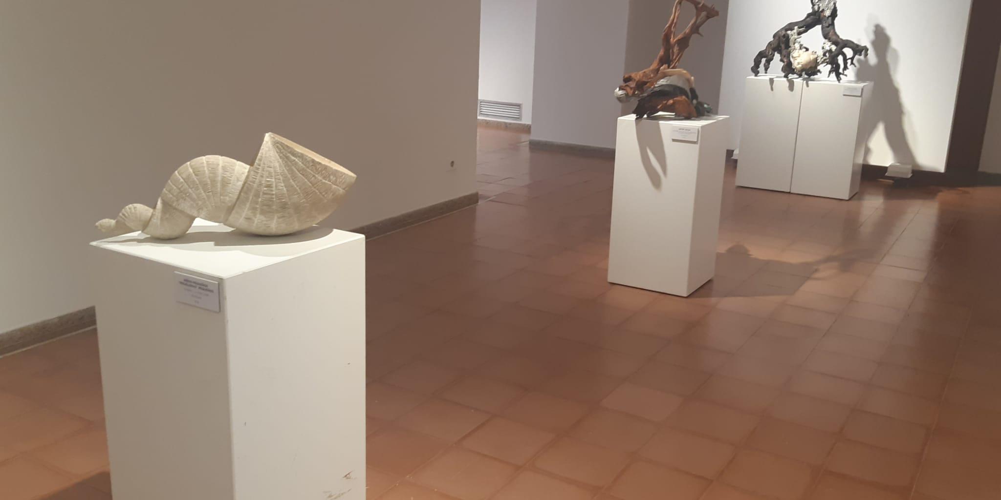 expo Stefano Dalle Vedove