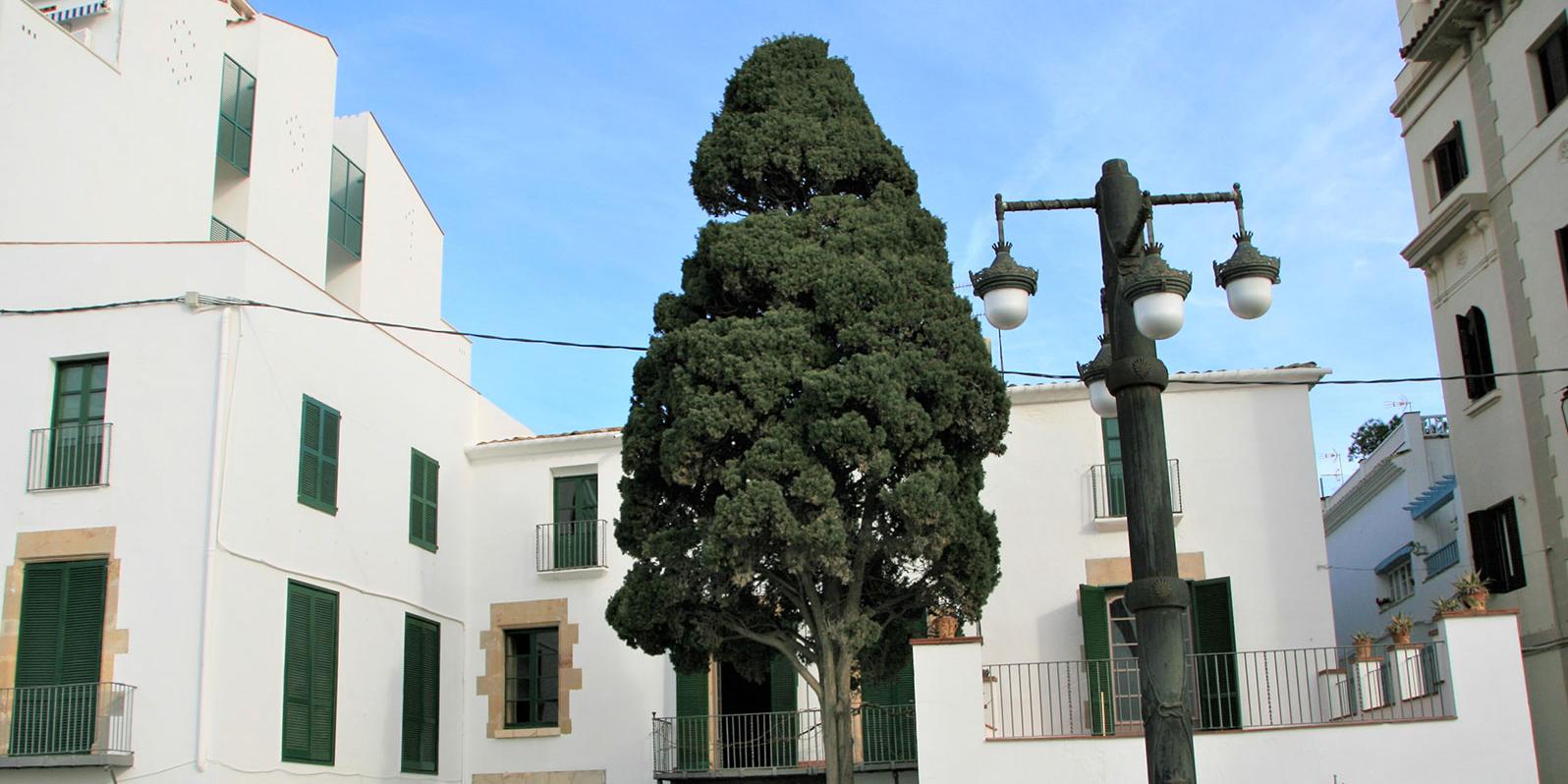 Edifici emblemàtic amb més de tres segles d’història Edifici emblemàtic amb més de tres segles d’història