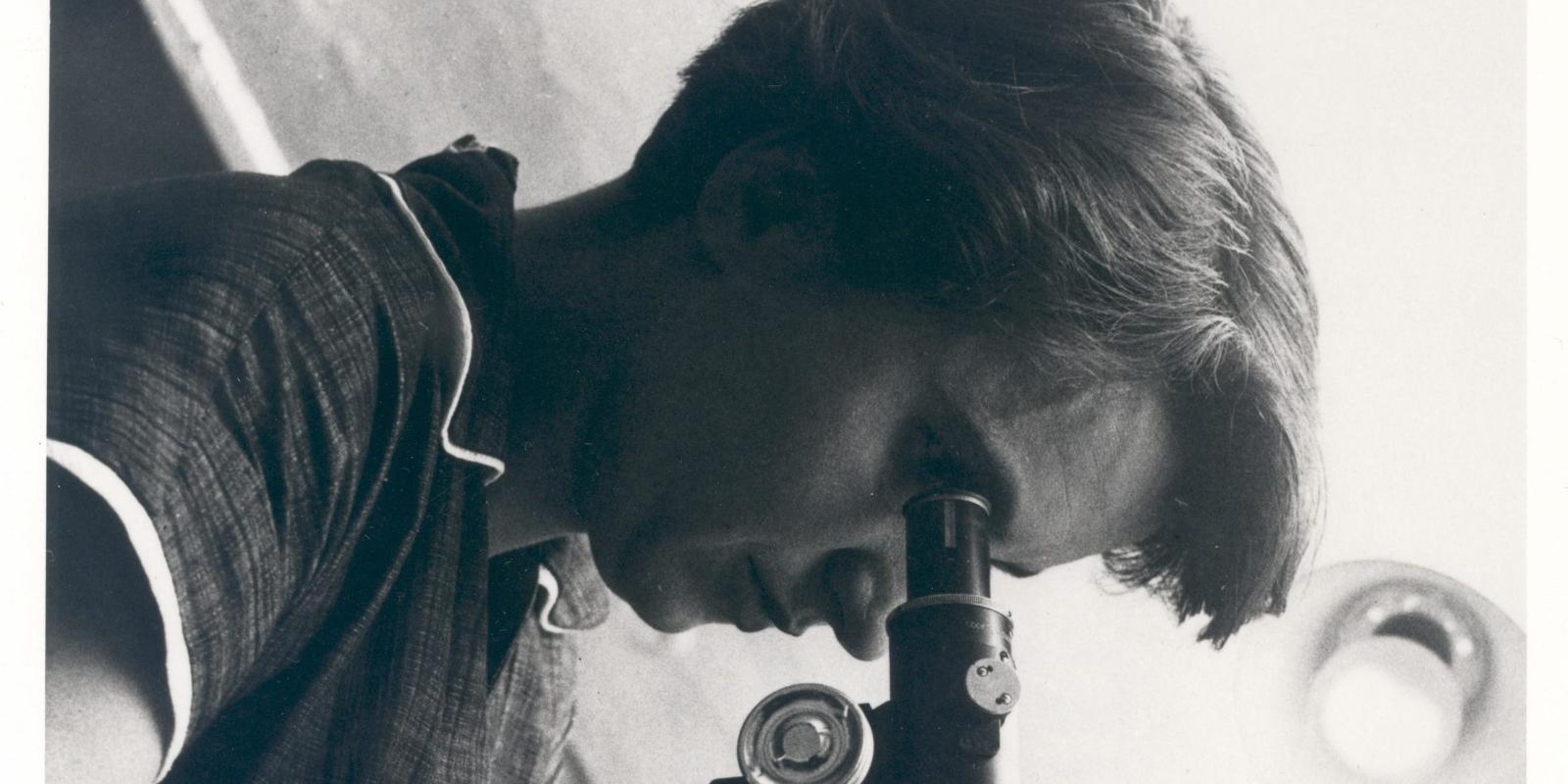 Canvis de dates i d’ubicació a 3 exposicions de La Pregonera 2021