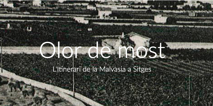 Olor de most: el nou itinerari de la Malvasia a Sitges