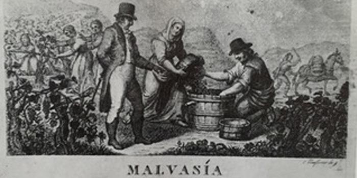 Olor de most: l'itinerari de la Malvasia a Sitges