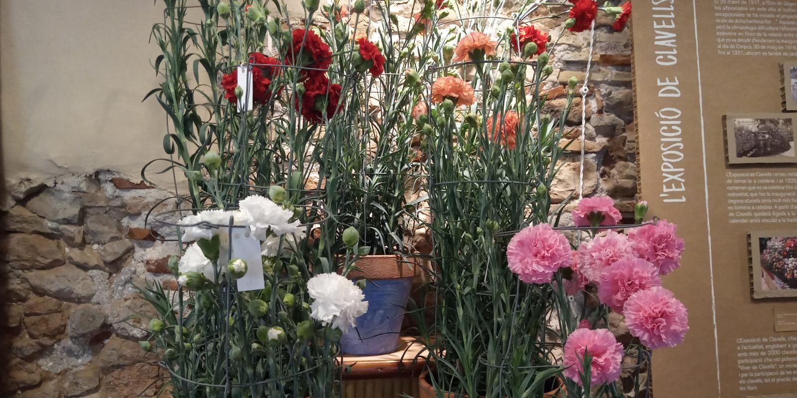 El Corpus de Sitges recupera cinc catifes de flors