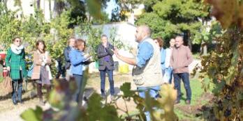 Visita guiada 'Aiguadolç, marges i malvasia' Visita guiada 'Aiguadolç, marges i malvasia'