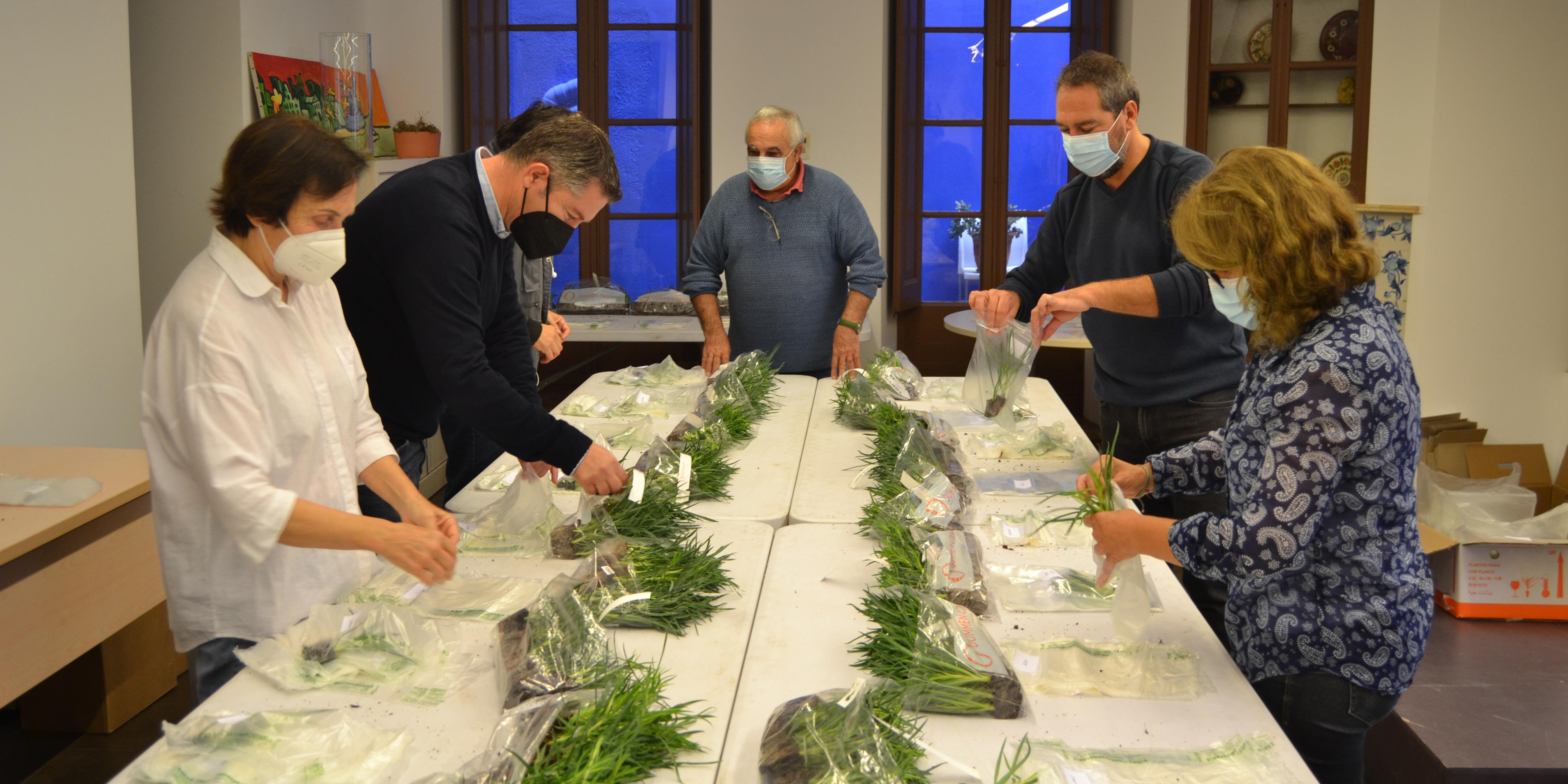 El Corpus del 2022 buscarà la normalitat i ja reparteix esqueixos de clavells