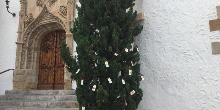 L’arbre del desitjos dels Museus de Sitges L’arbre del desitjos dels Museus de Sitges