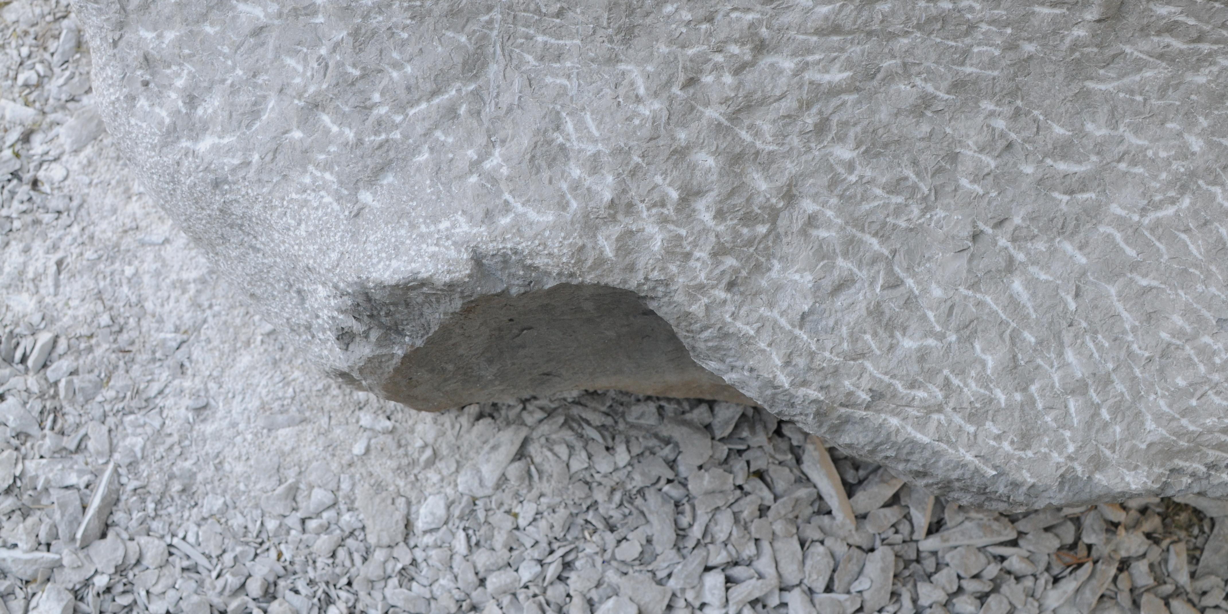 Vent de fora de Susana Botana